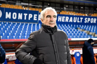 Domenech et les bleus à Knysna : Netflix oublie Louis Nicollin