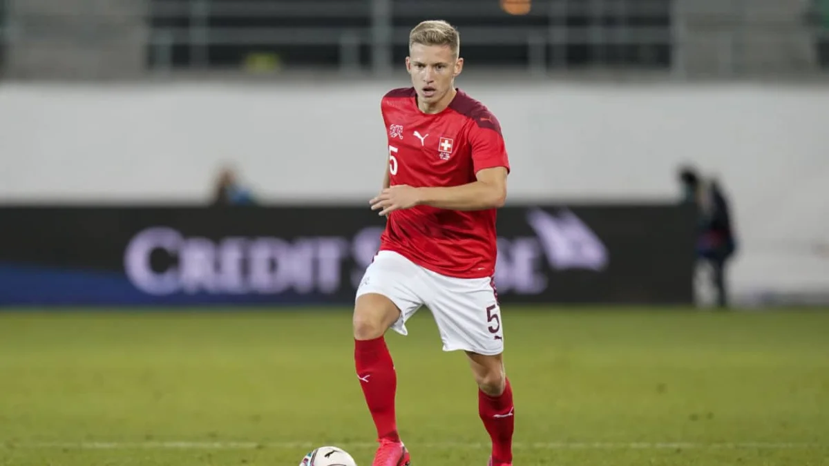 Pas de Coupe du Monde donc pour Bećir Omeragić