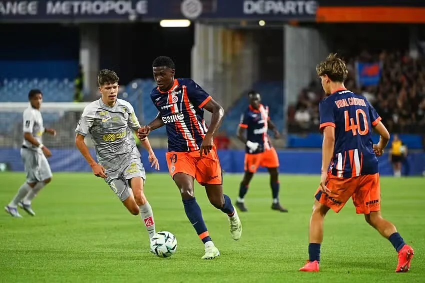 Ulysse Le Toquin (ICI): “On attend un peu plus de maturité pour nos Pailladins”