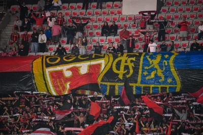 OM, FC Nantes, OL, OGC Nice : un nouvel investisseur américain prêt à débarquer en Ligue 1 ?