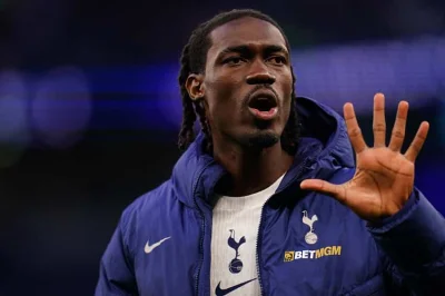 OM Mercato : un ancien cador du LOSC qui brille en Premier League dans les valises de Genesio à Marseille ?
