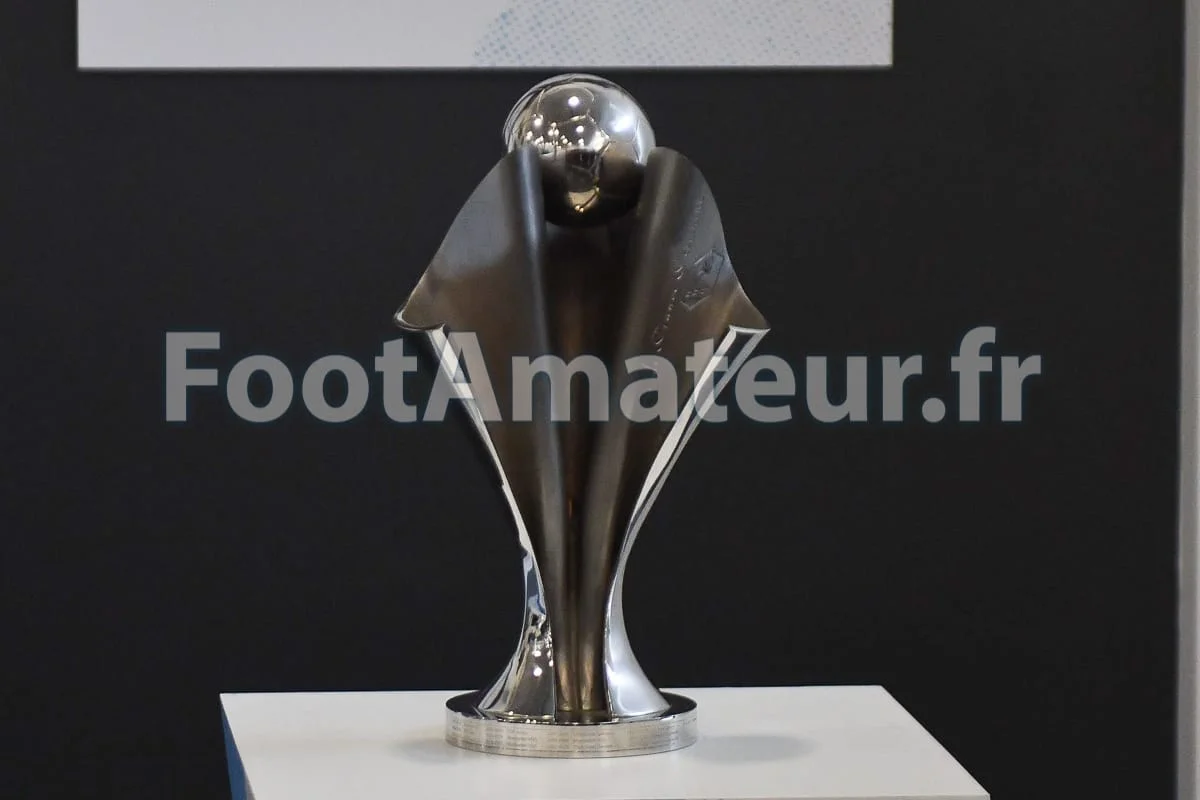 Les Lyonnaises écrasent les Parisiennes et remportent la Coupe de France
