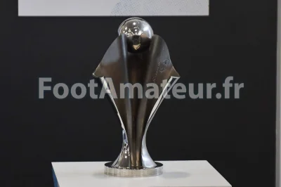 Les Lyonnaises écrasent les Parisiennes et remportent la Coupe de France