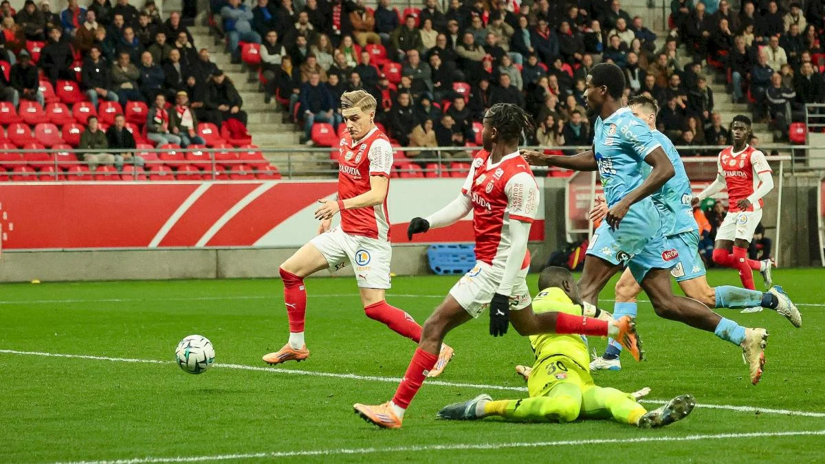 Norman Bassette a la cote en Belgique
