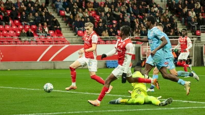 Norman Bassette a la cote en Belgique
