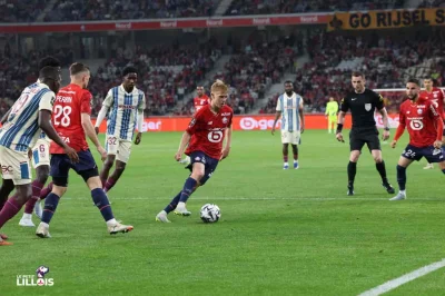 Haraldsson brillant, l’écart de trop, la mauvaise manie du LOSC… Ce que l’on a aimé et moins aimé pendant Lille – Le Havre