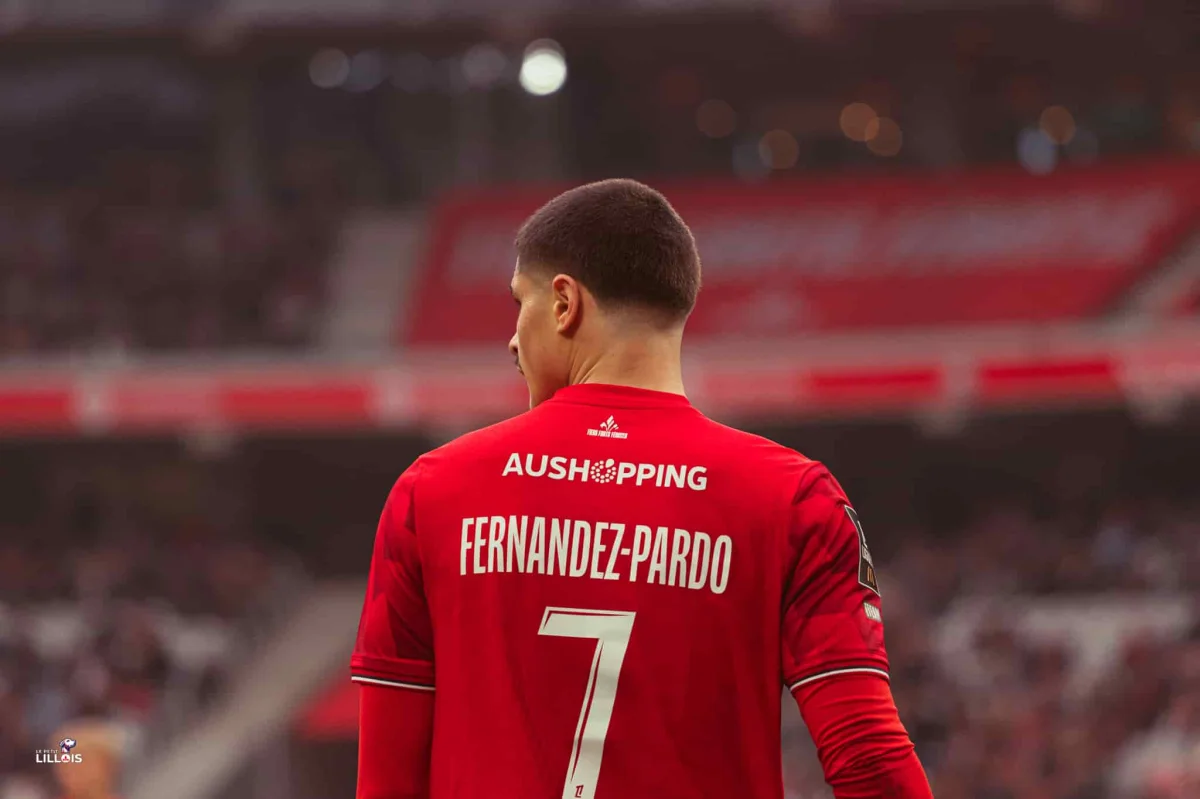 Fernandez-Pardo, Özer et André respirent : le point disciplinaire après LOSC – Le Havre AC