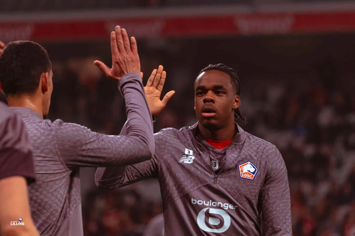 Ngoy et Pardo en pionniers de la nouvelle génération : Que pensent les Belges des joueurs du LOSC ?