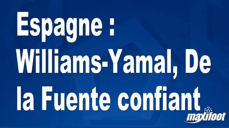 Espagne : Williams-Yamal, De la Fuente confiant