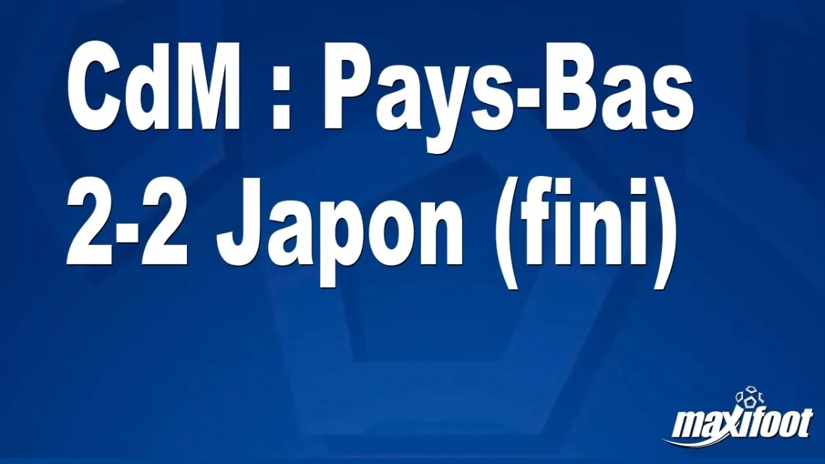 CdM : Pays-Bas 2-2 Japon (fini)