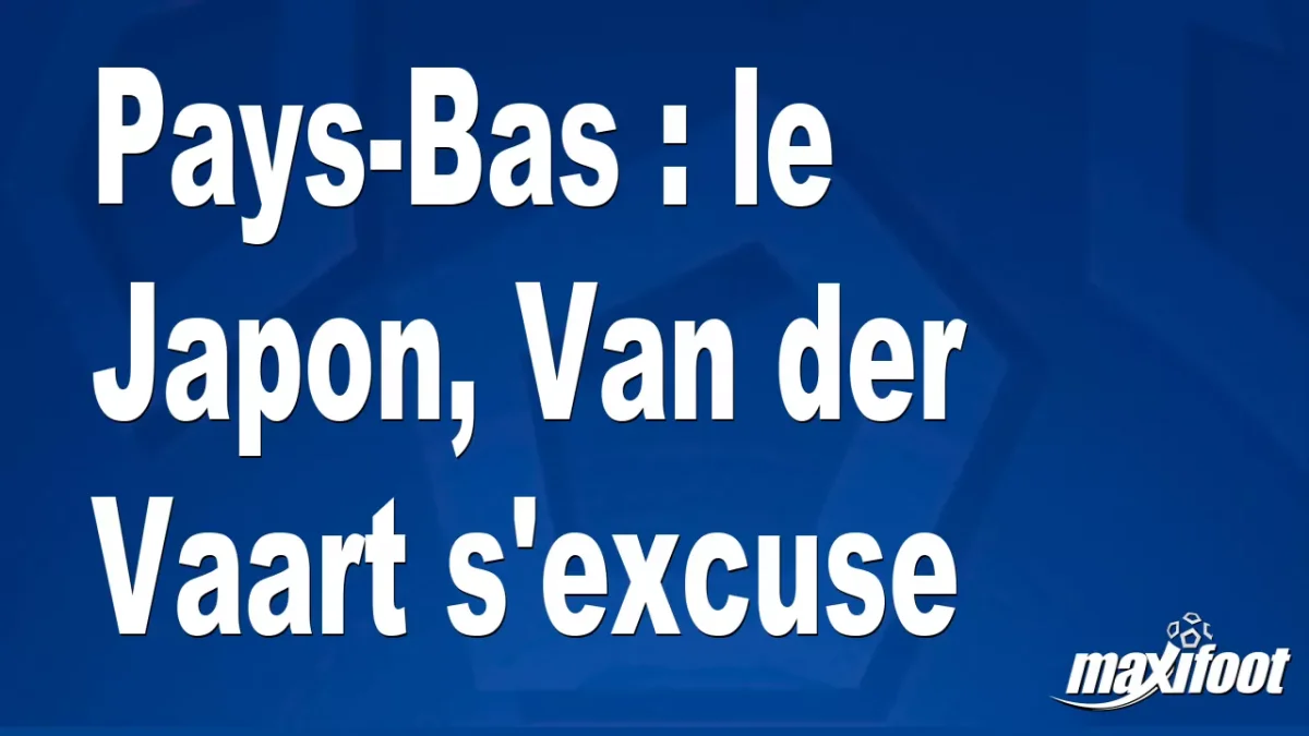 Pays-Bas : le Japon, Van der Vaart s'excuse