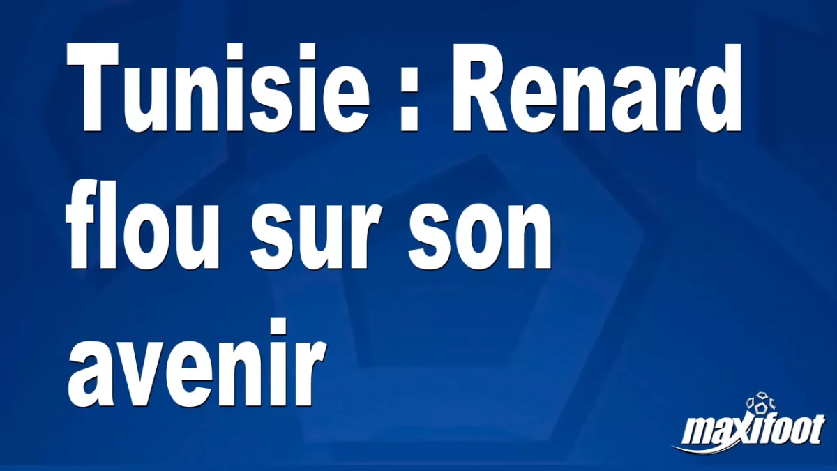 Tunisie : Renard flou sur son avenir