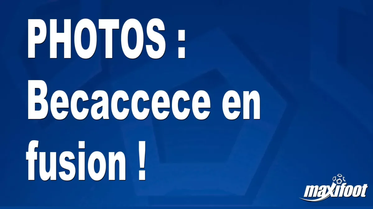 BUZZS : Becaccece en fusion !