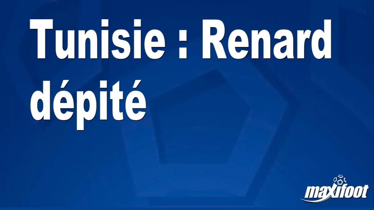 Tunisie : Renard dépité