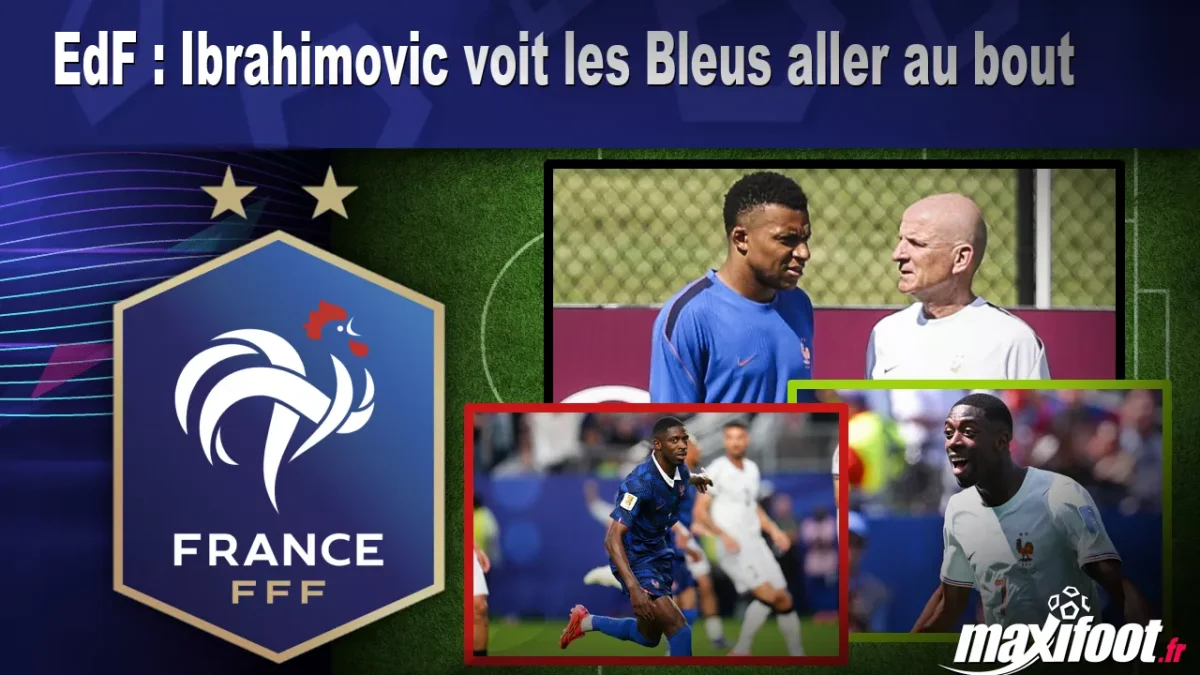 EdF : Ibrahimovic voit les Bleus aller au bout