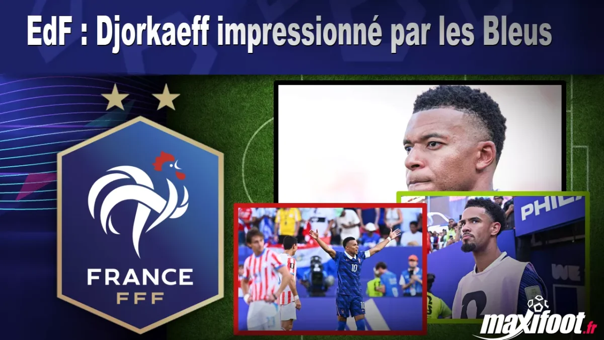 EdF : Djorkaeff impressionné par les Bleus