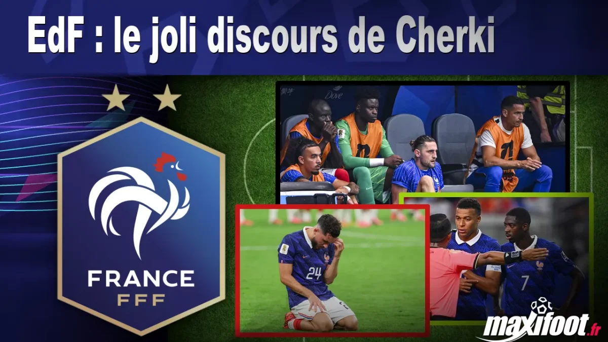 EdF : le joli discours de Cherki