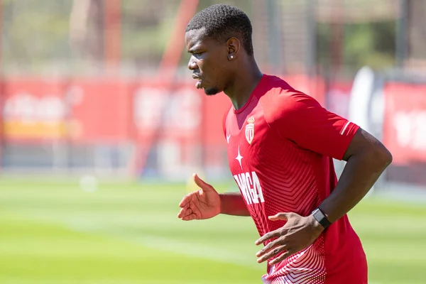 Monaco : Pogba se blesse encore...