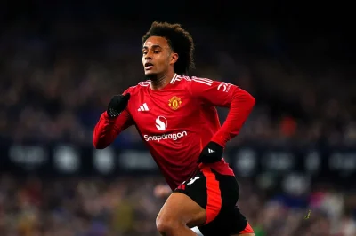 L’AC Milan veut ce flop de Manchester United